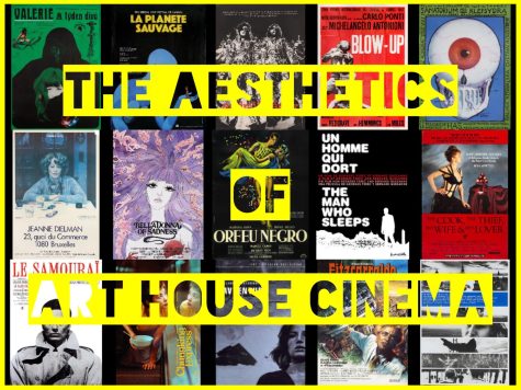 The Aesthetics of Art House Films: What Sets Them Apart? - Part 2