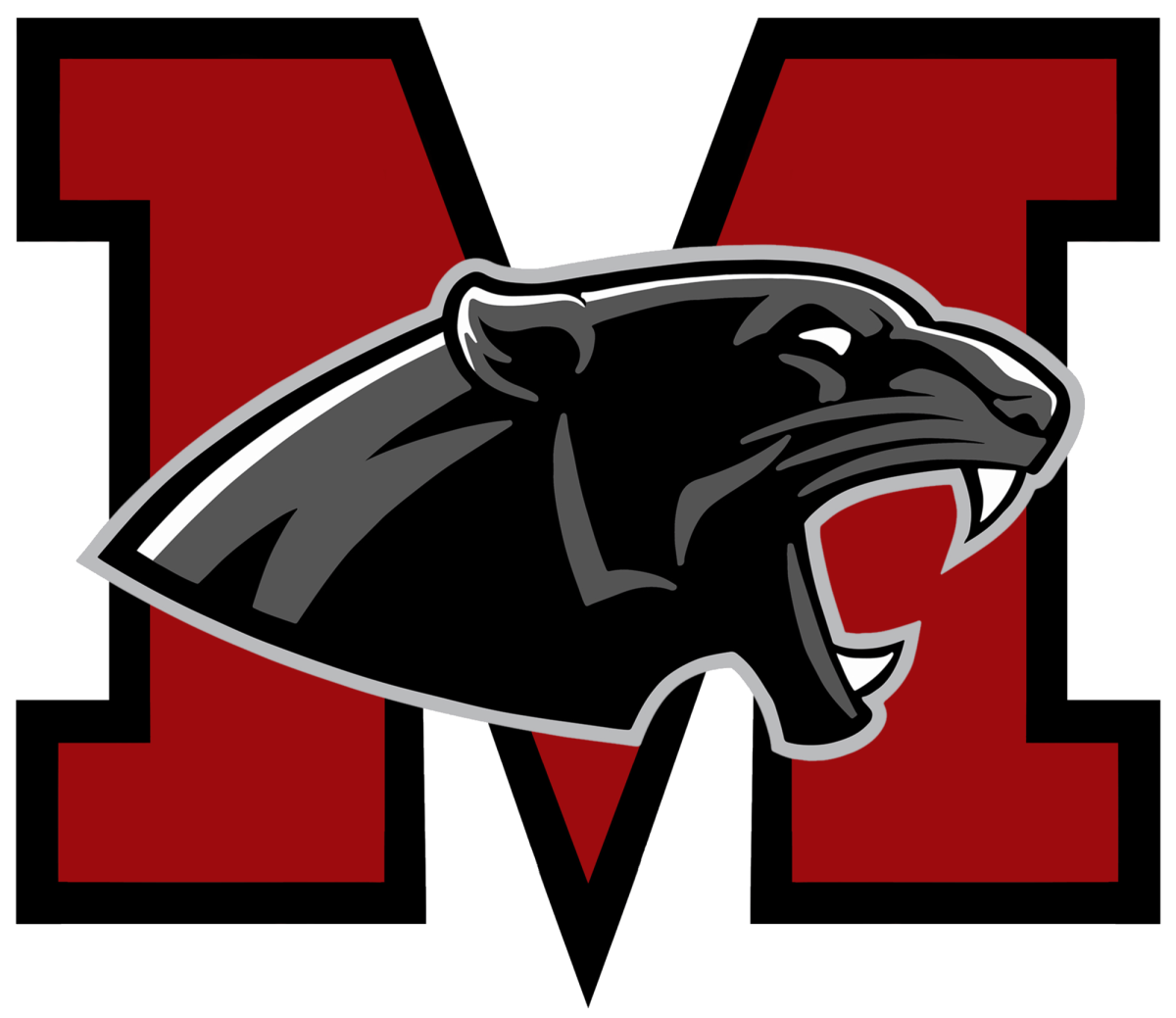 Modesto’s High School Mascot Logos, Ranked – Enochs Eagle Eye