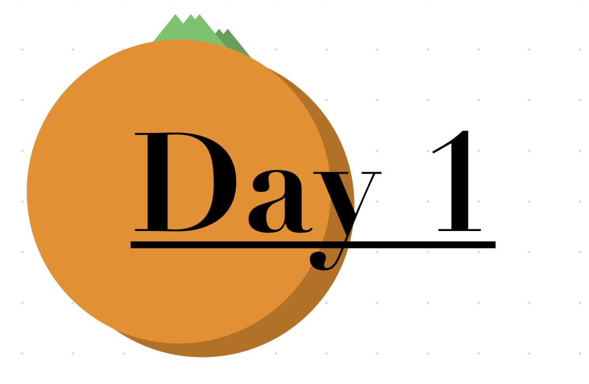 The text "Day 1" in underline with an orange fruit in the background.